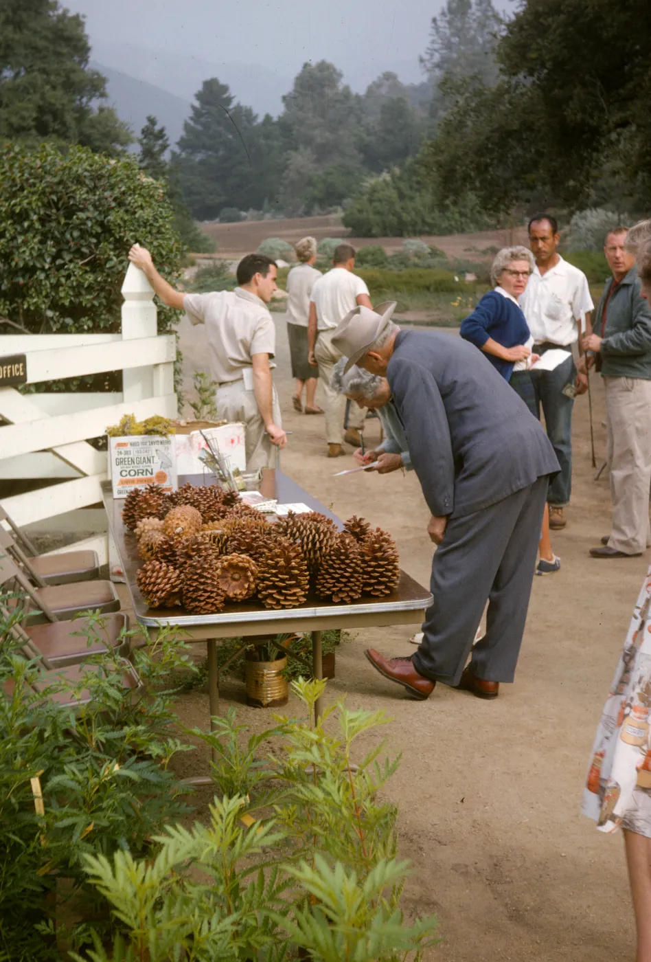 SBBG Plant Sale