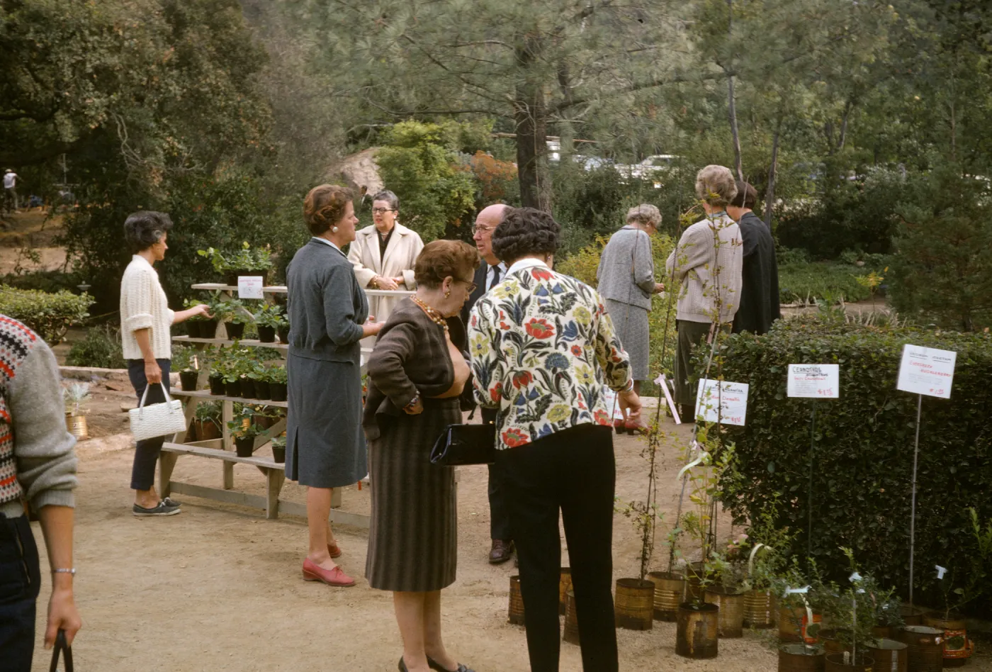 SBBG Plant Sale