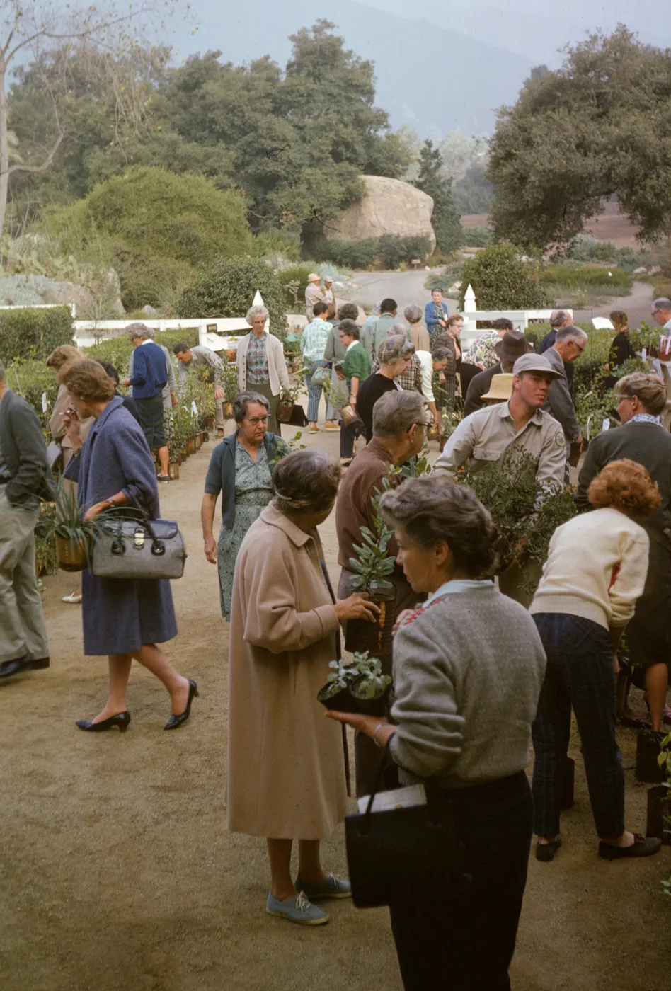SBBG Fall Plant Sale, 1963