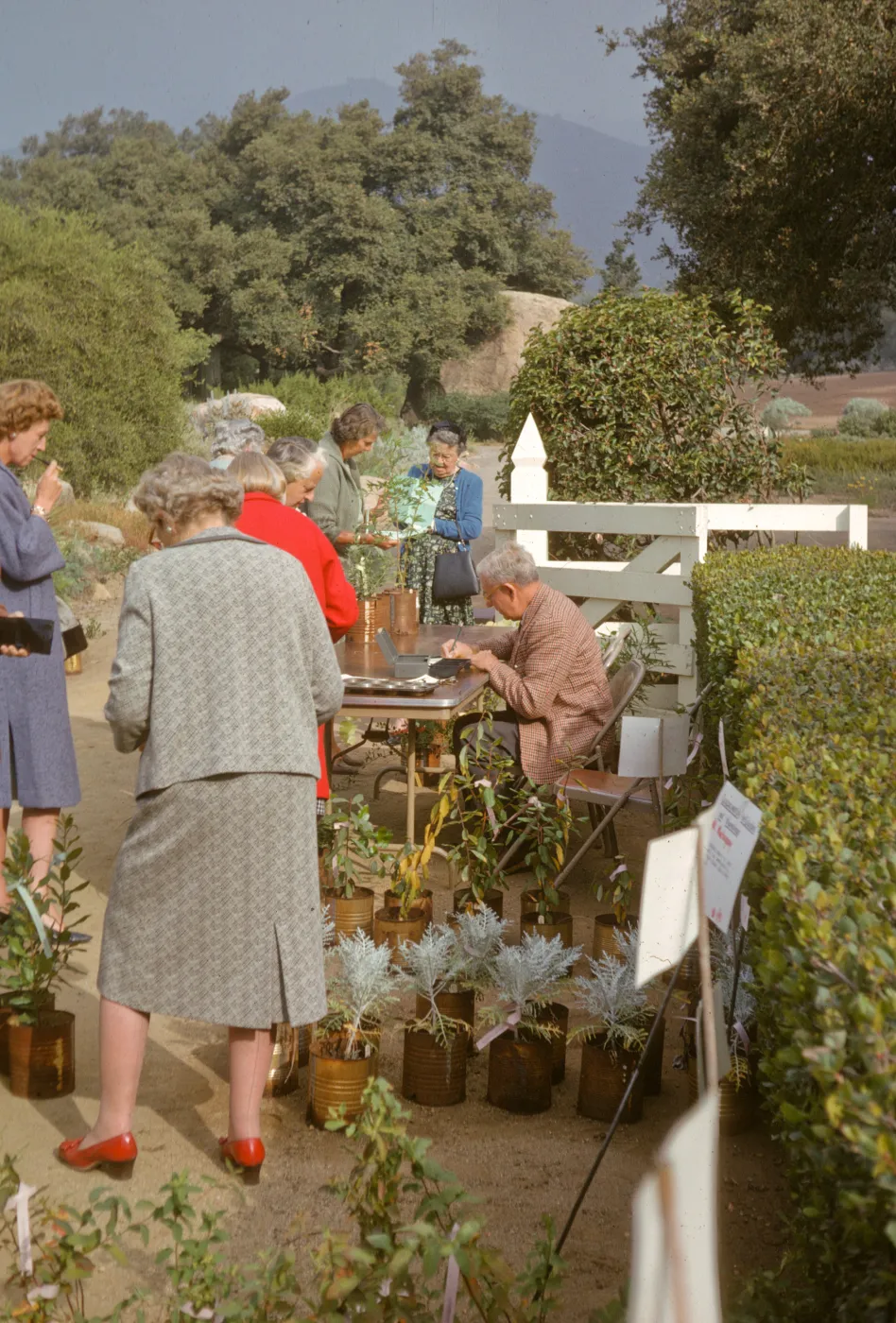SBBG Fall Plant Sale, 1963