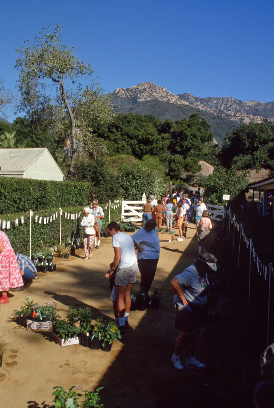 SBBG Fall Plant Sale, 1991