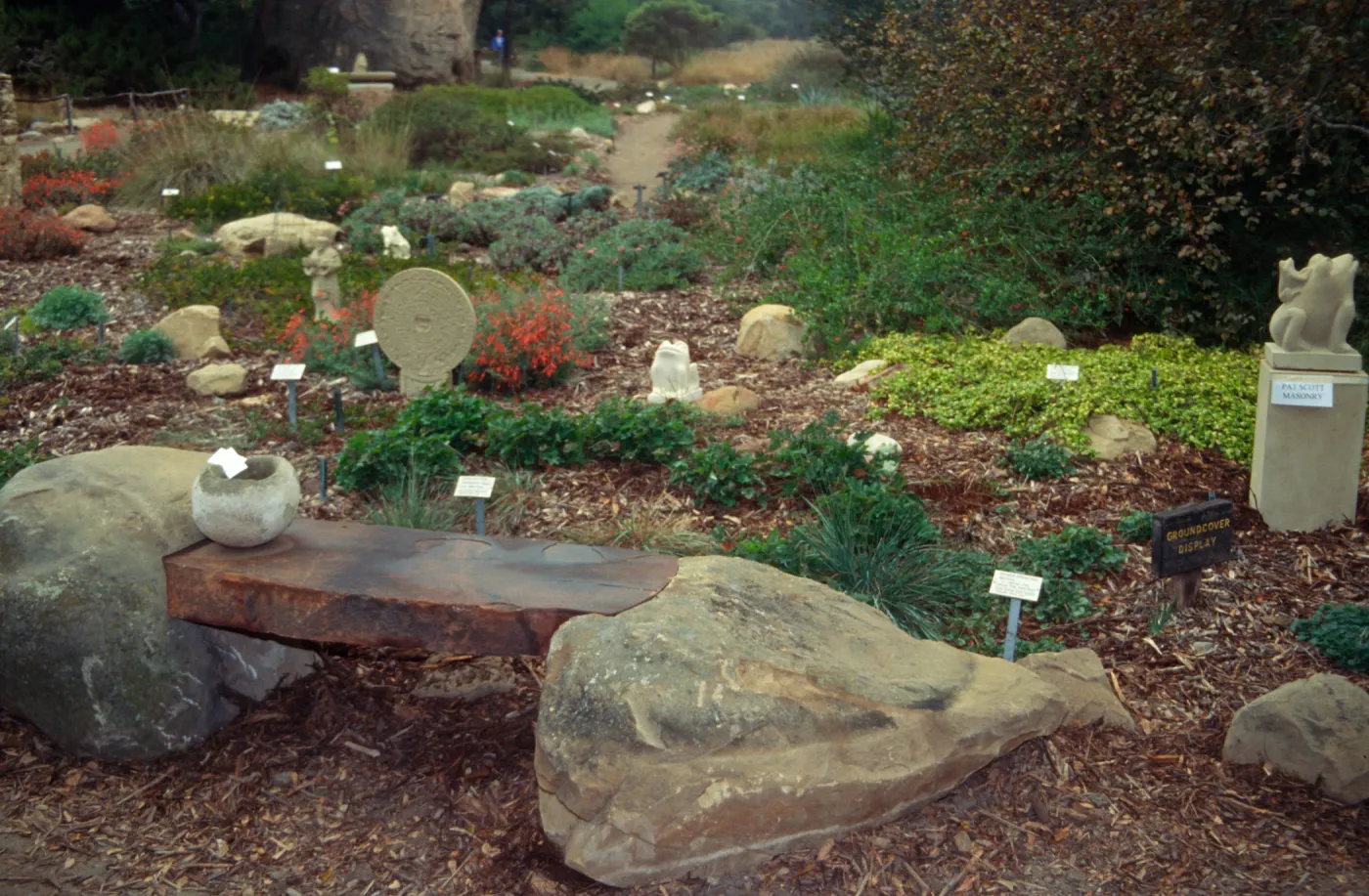 SBBG Fall Plant Sale, 1995