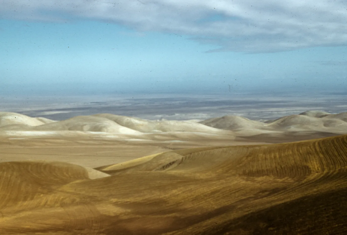Temblor Ranch Hills from pass on McKittrick Road