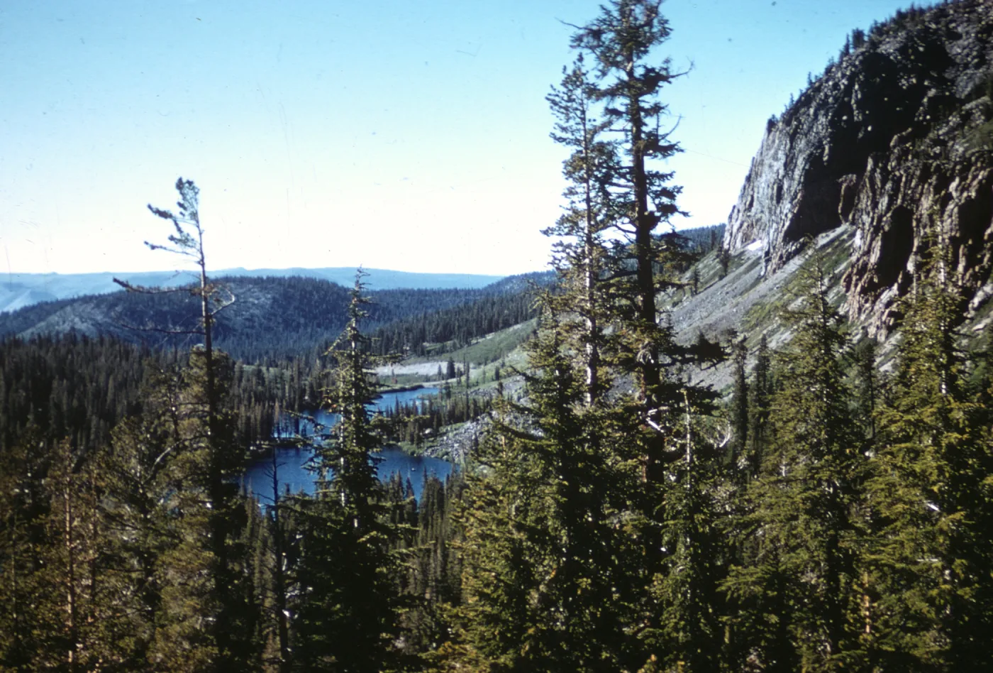 Twin Lakes, Mammoth Lakes, Lodgepole Pine Forest