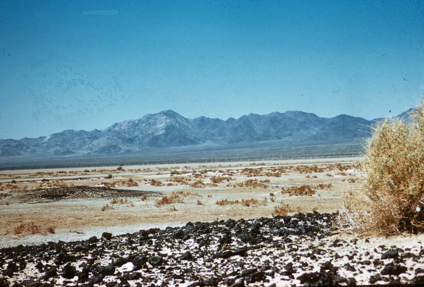 Bristoll Dry Lake, Alkali Sink