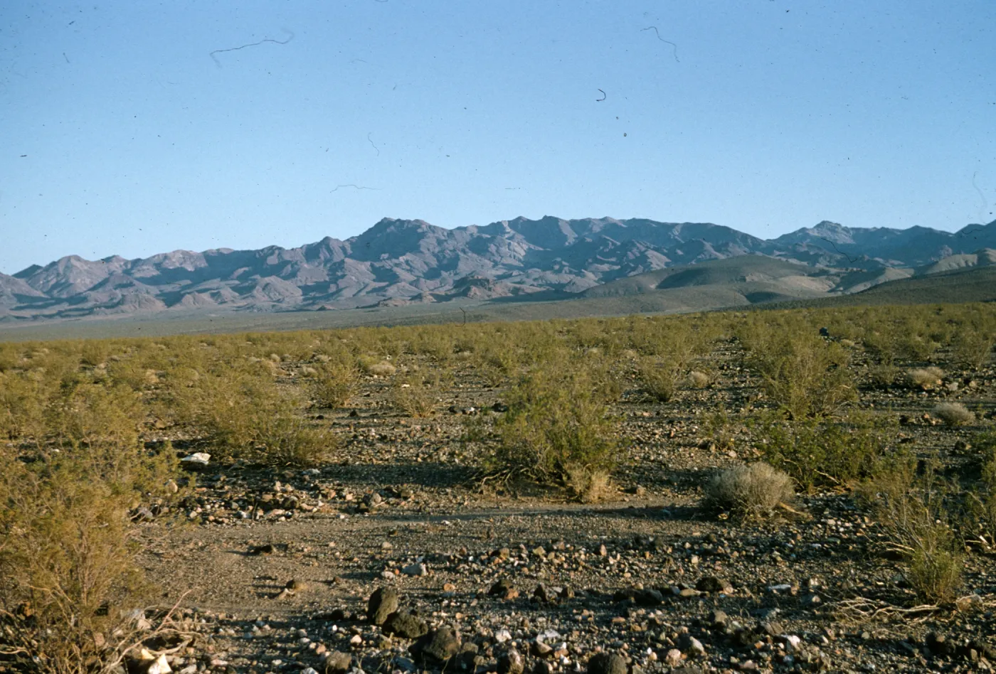 Mojave Desert, Dagget