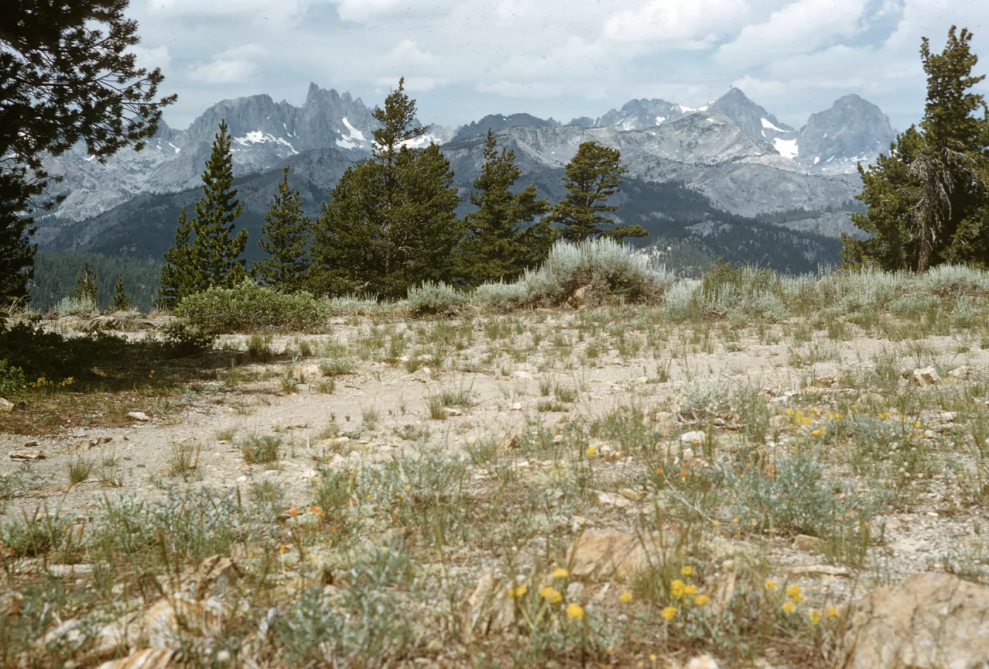 Minarets, Mt Ritter and Mt Banner