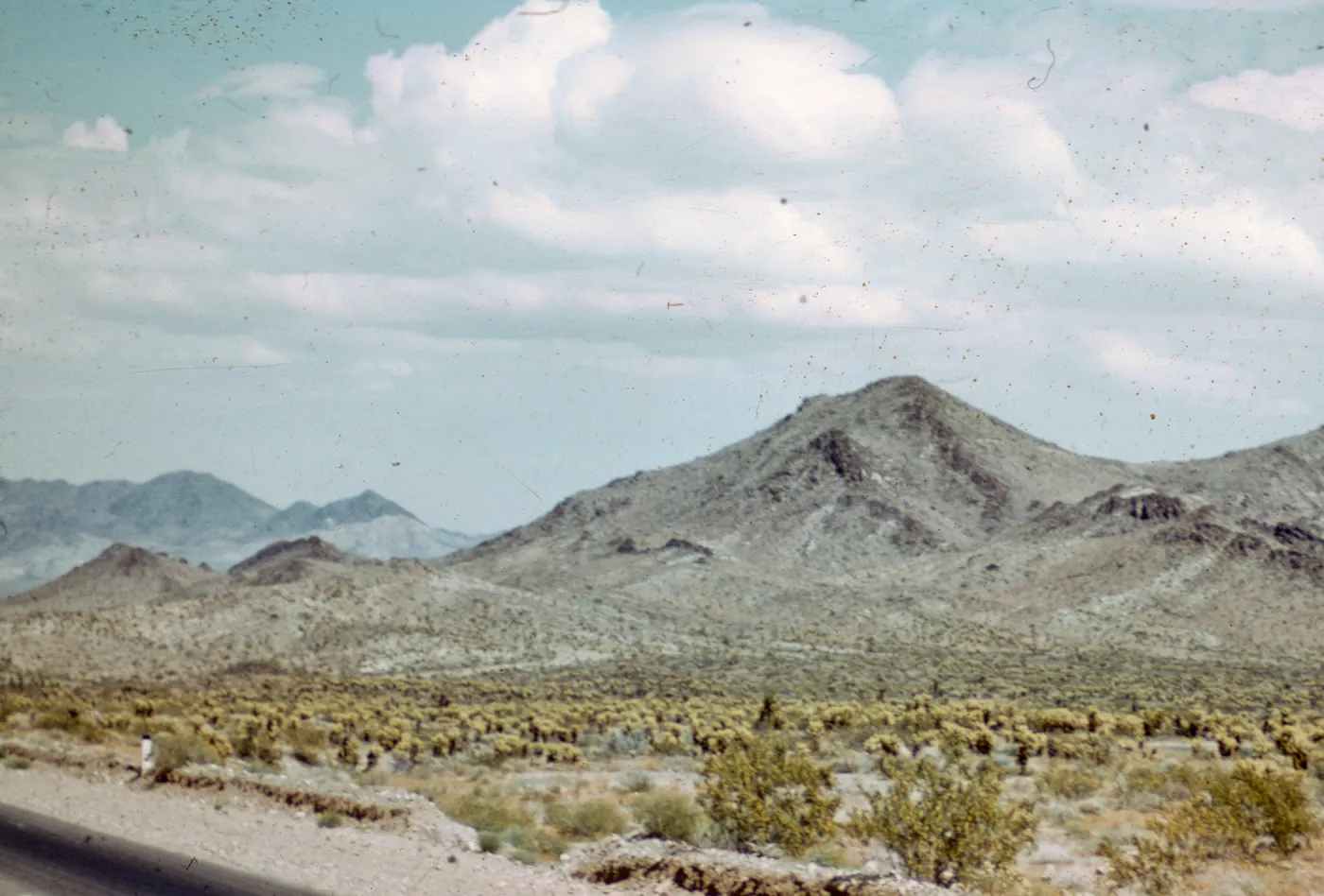 Highway 66, Mojave Desert, Creosote Bush Scrub