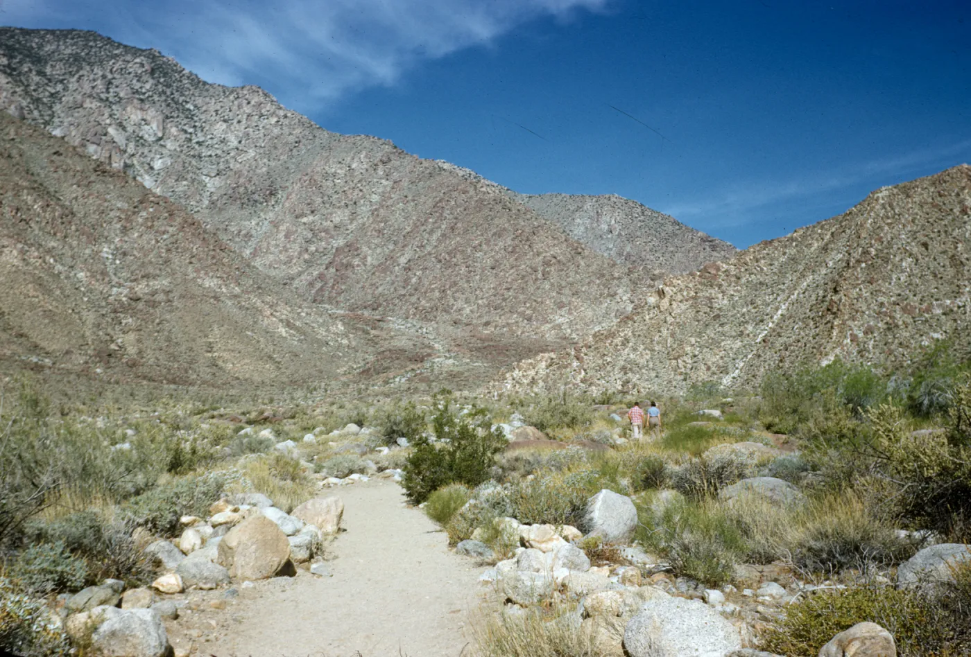 start of trail up Palm Canyon, Borego