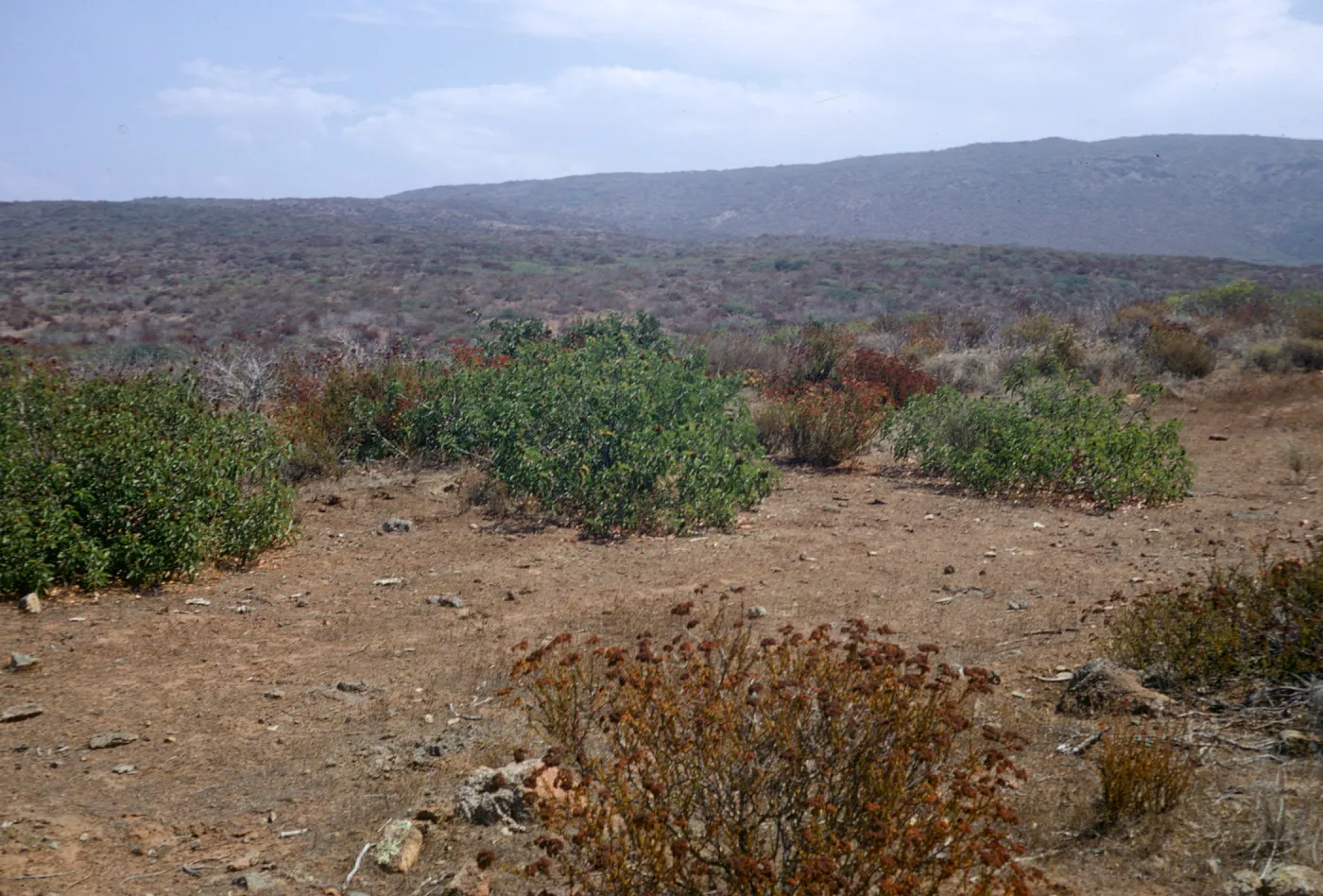 Lockwood Valley