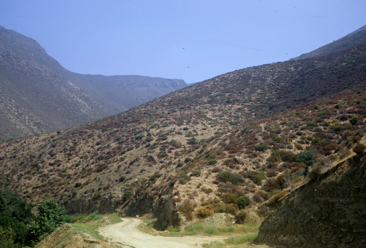 Lockwood Valley