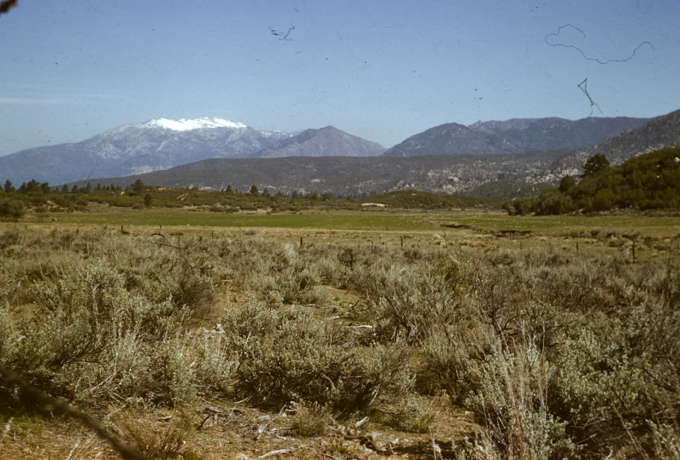 Mt San Jacinto Peak from Pines to Palms Highway