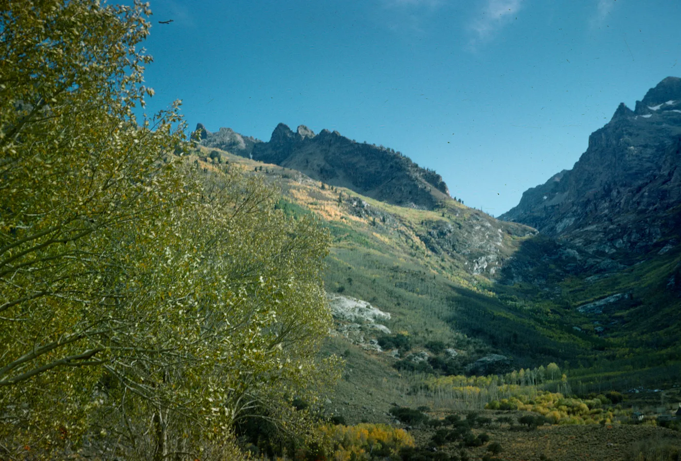 Tioga Pass, Yosemite