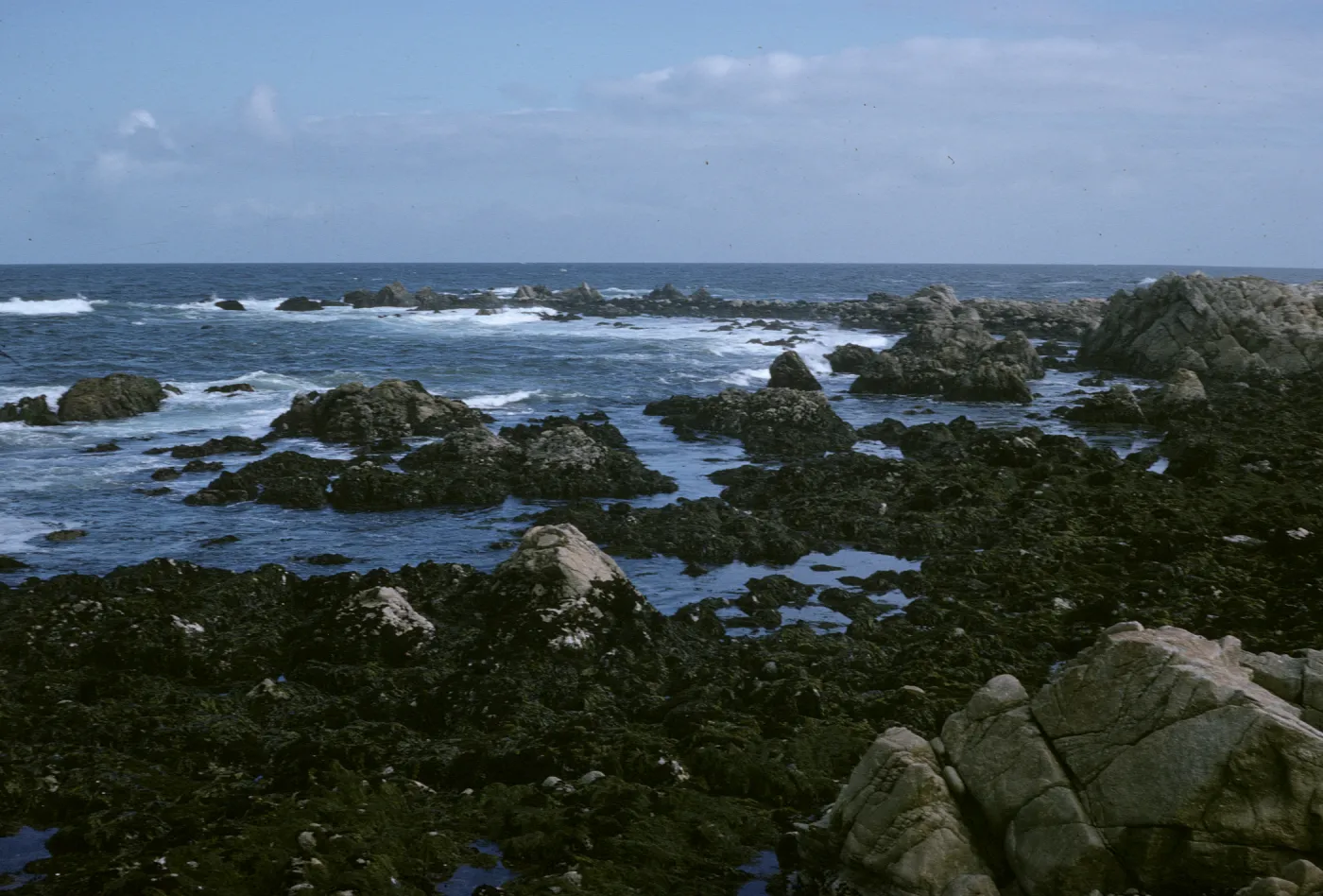 Monterey, site of wreck of SS Paul