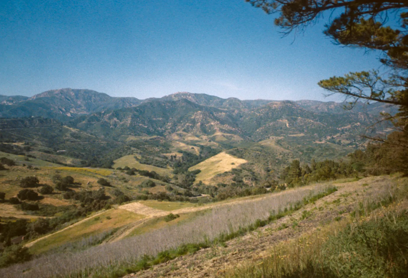 Santa Ynez Mountains from east end of Mission Ridge