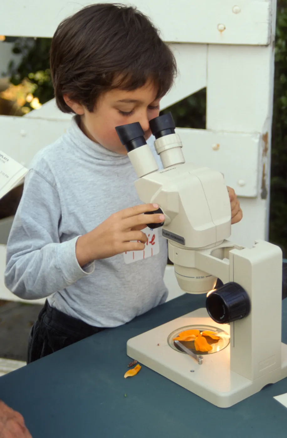 SBBG Members BBQ, 1999