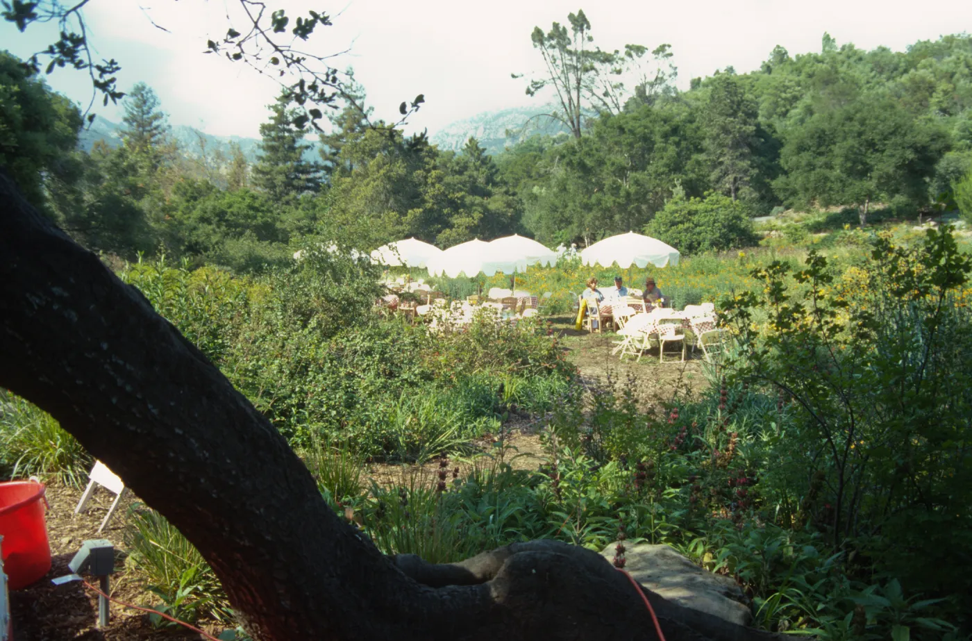 SBBG Members BBQ, 1999
