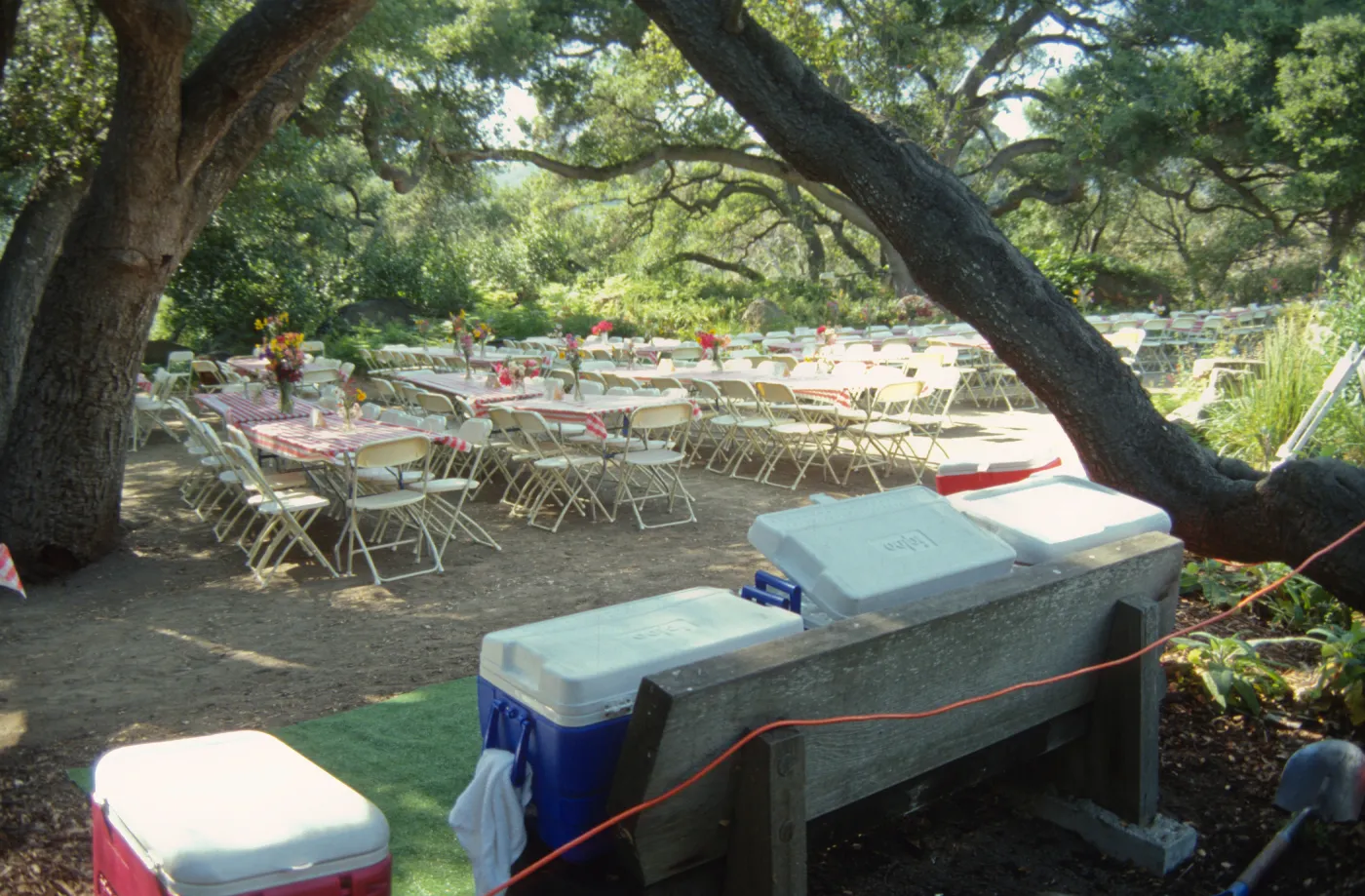 SBBG Members BBQ, 1999