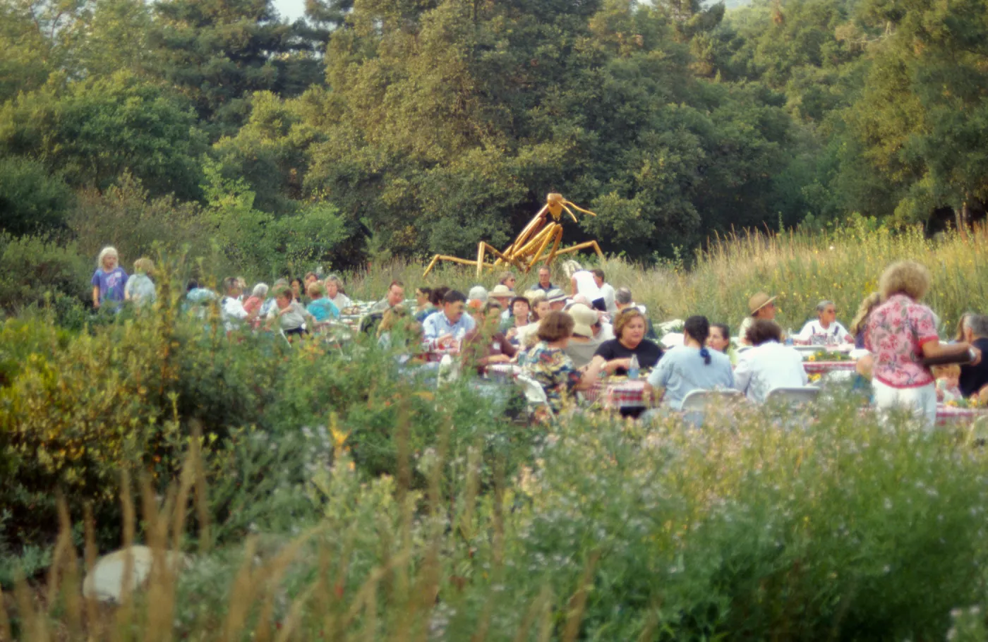 SBBG Members BBQ, 2000