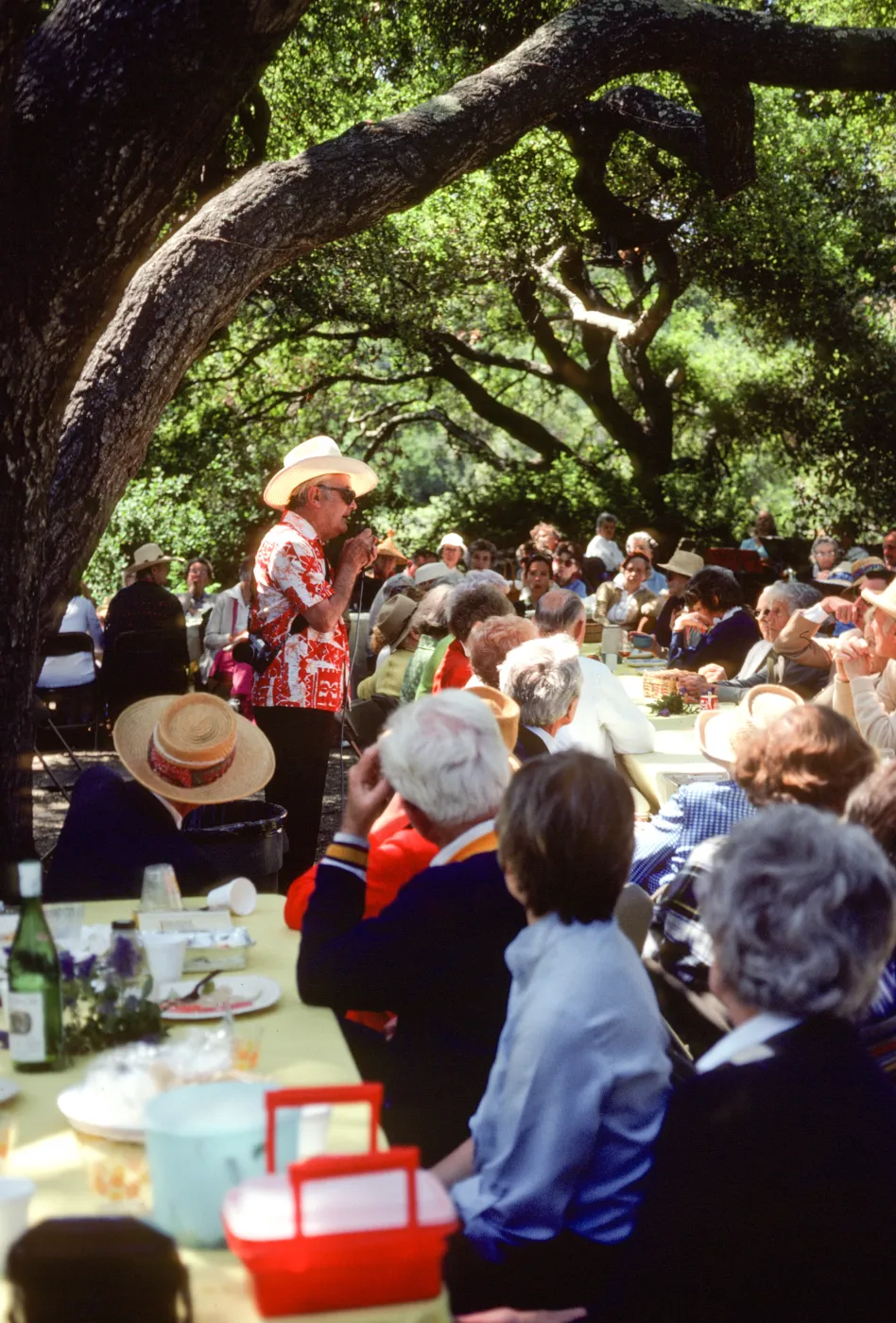 SBBG Members BBQ, 1983, under the oaks