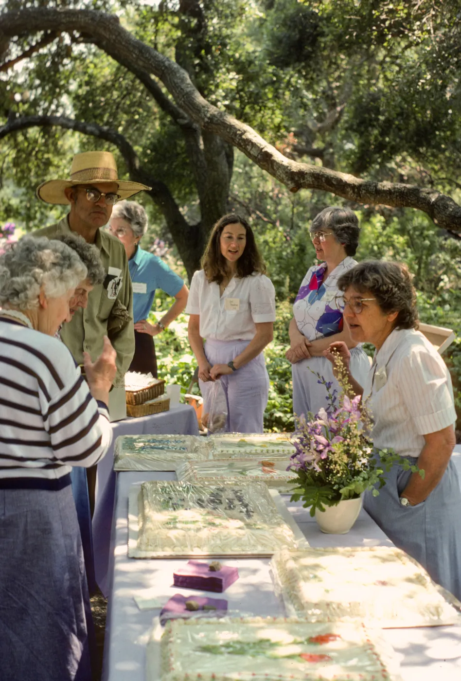 SBBG Members Day Picnic, 1986, under the oaks, the cake table