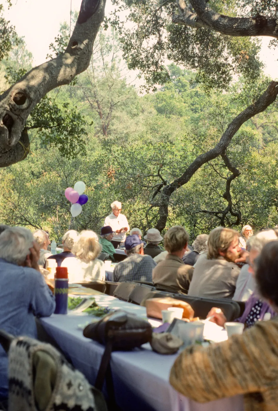 SBBG Members Day Picnic, 1986, under the oaks