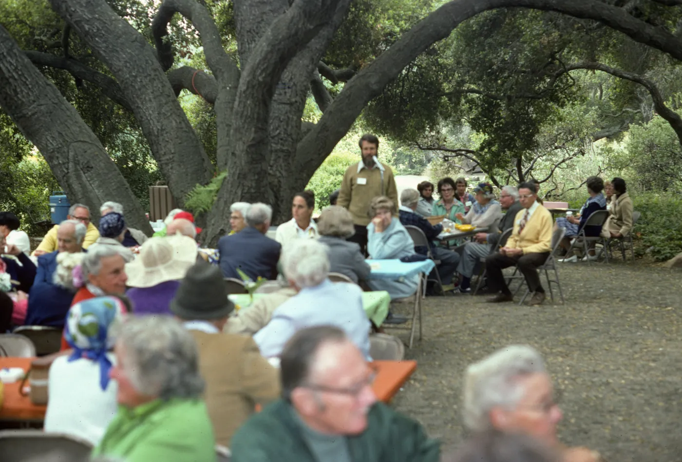 Ralph Philbrick, SBBG Members Day Picnic, 1977, under the oaks