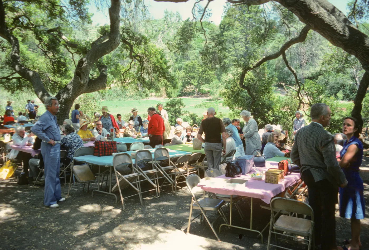 SBBG Members Day, 1978, under the oaks