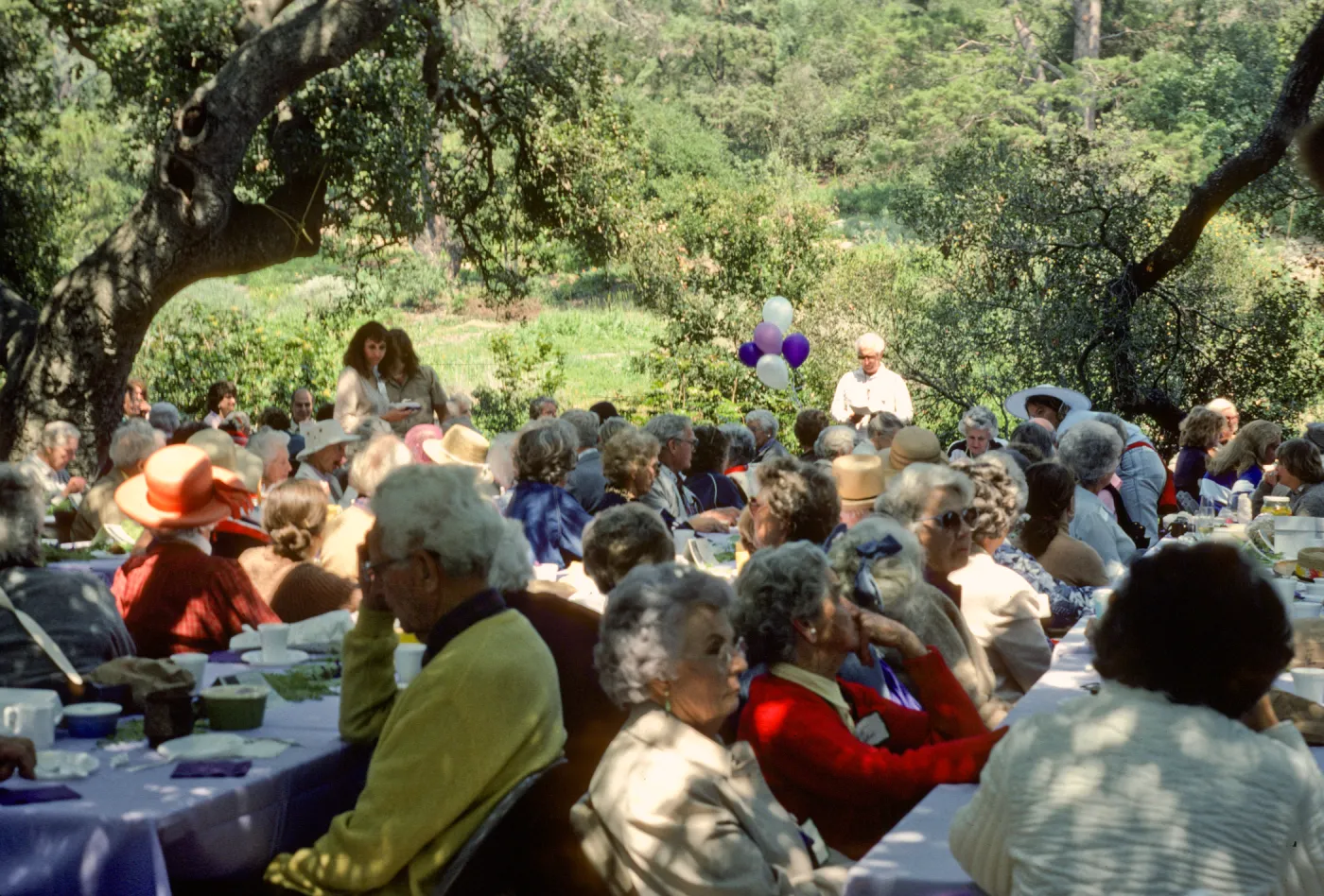SBBG Members Day Picnic, 1986, under the oaks