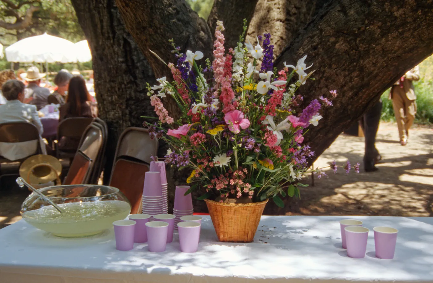 SBBG Members Day Picnic, 1996, floral arrangement and punch bowl