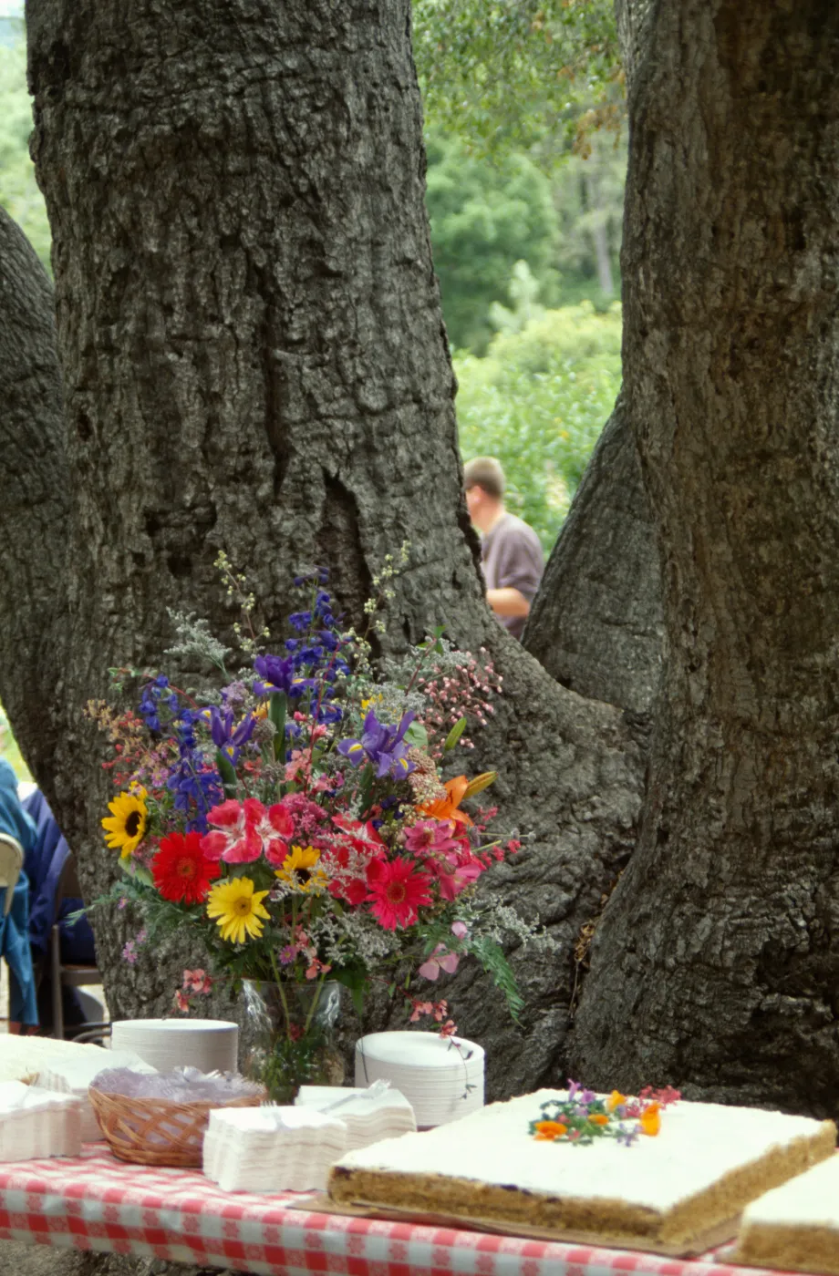 SBBG Members Day Picnic, 1998, the cake table