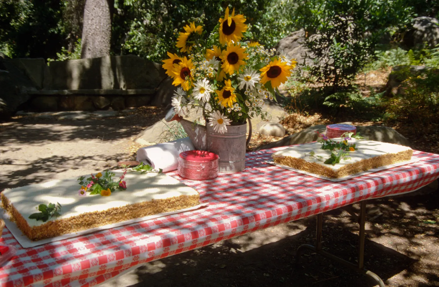 SBBG Members Day Picnic, 1997, the cake table