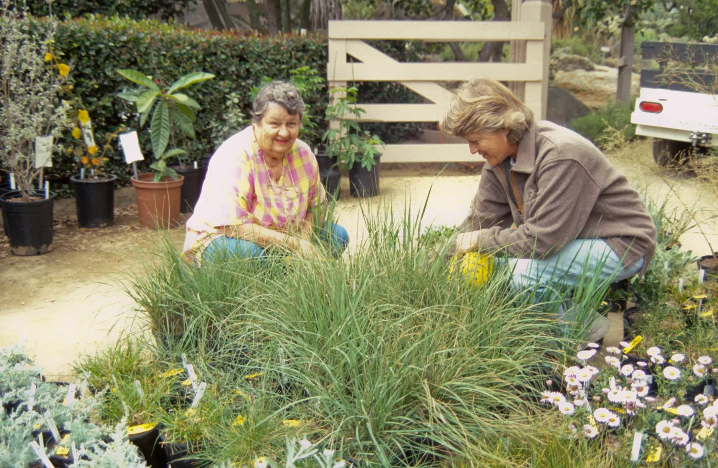 Plant Sale
