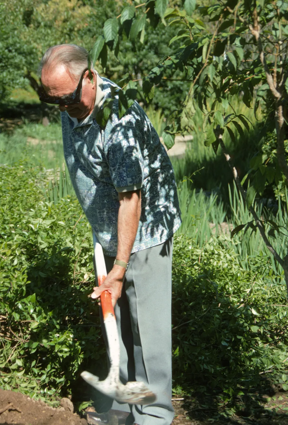 Bruce Van Dyke tree dedication