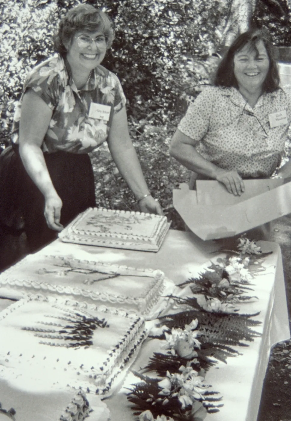 cake table, Members Picnic, under the Meadow Oaks, 1987, Mary Allcott