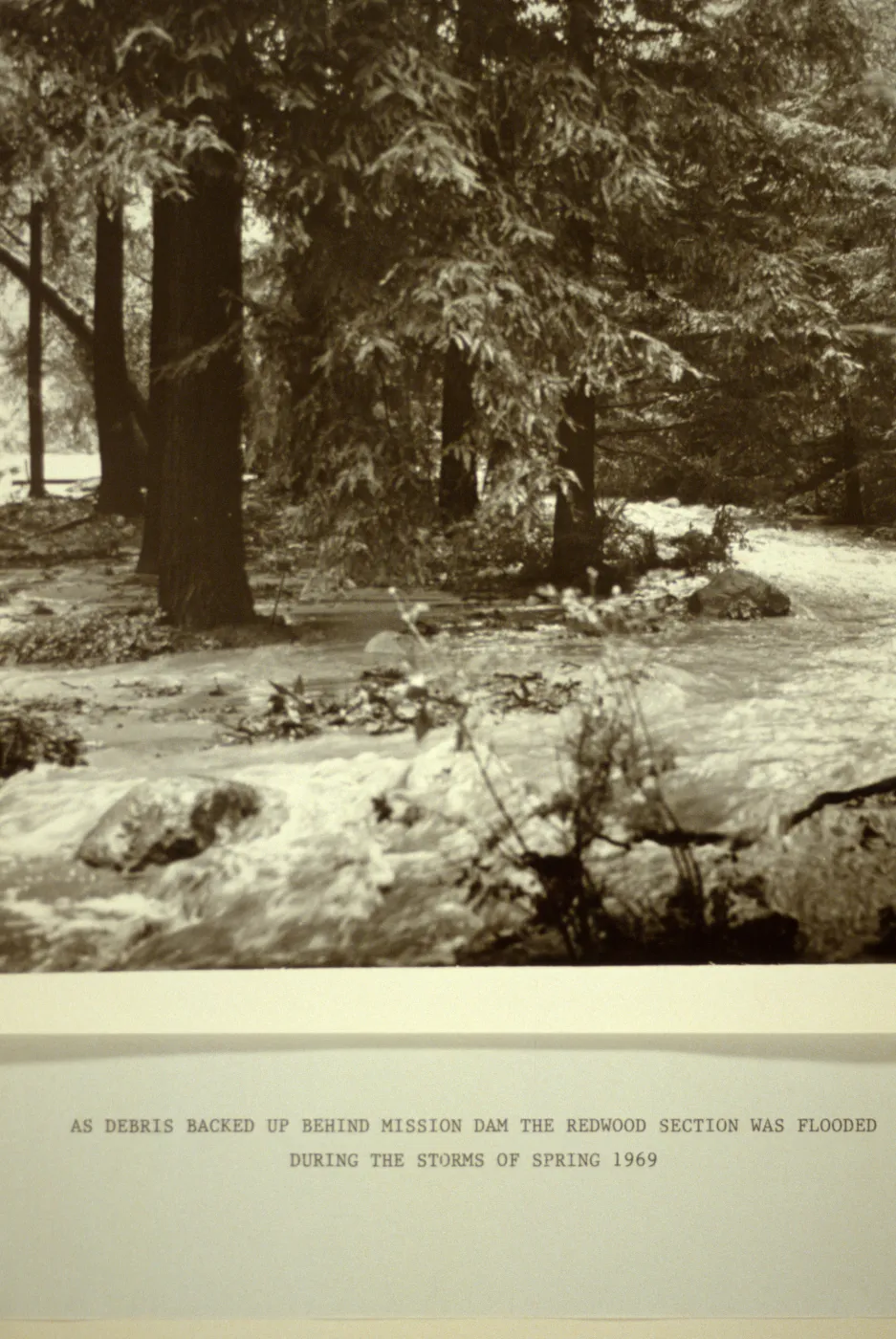 Mission Creek: 'As debris backed up behind Mission Dam, the Redwood Section was flooded during the storms of Spring 1969'