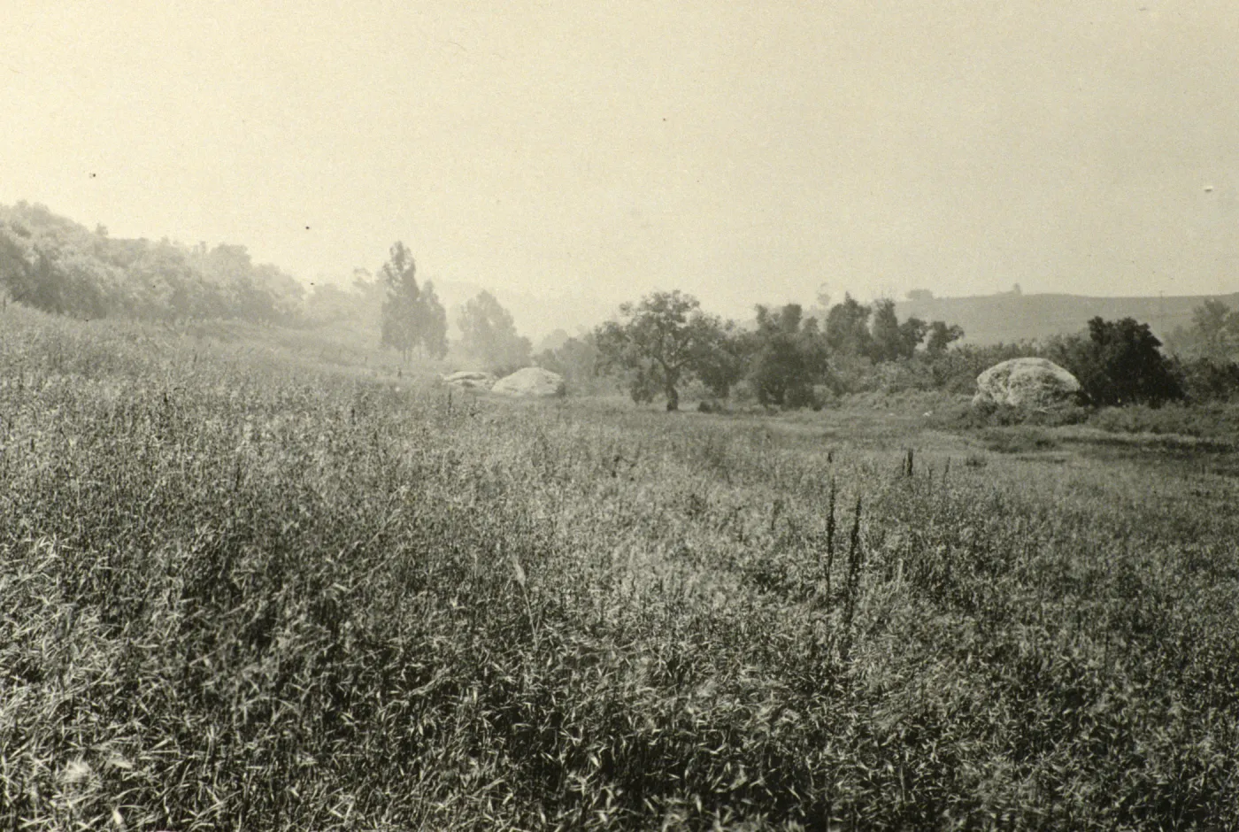 duplicate of SBBG_PR_00451, Garden site in Mission Canyon, looking south, to entrance boulders and Blaksley Boulder, circa 1926