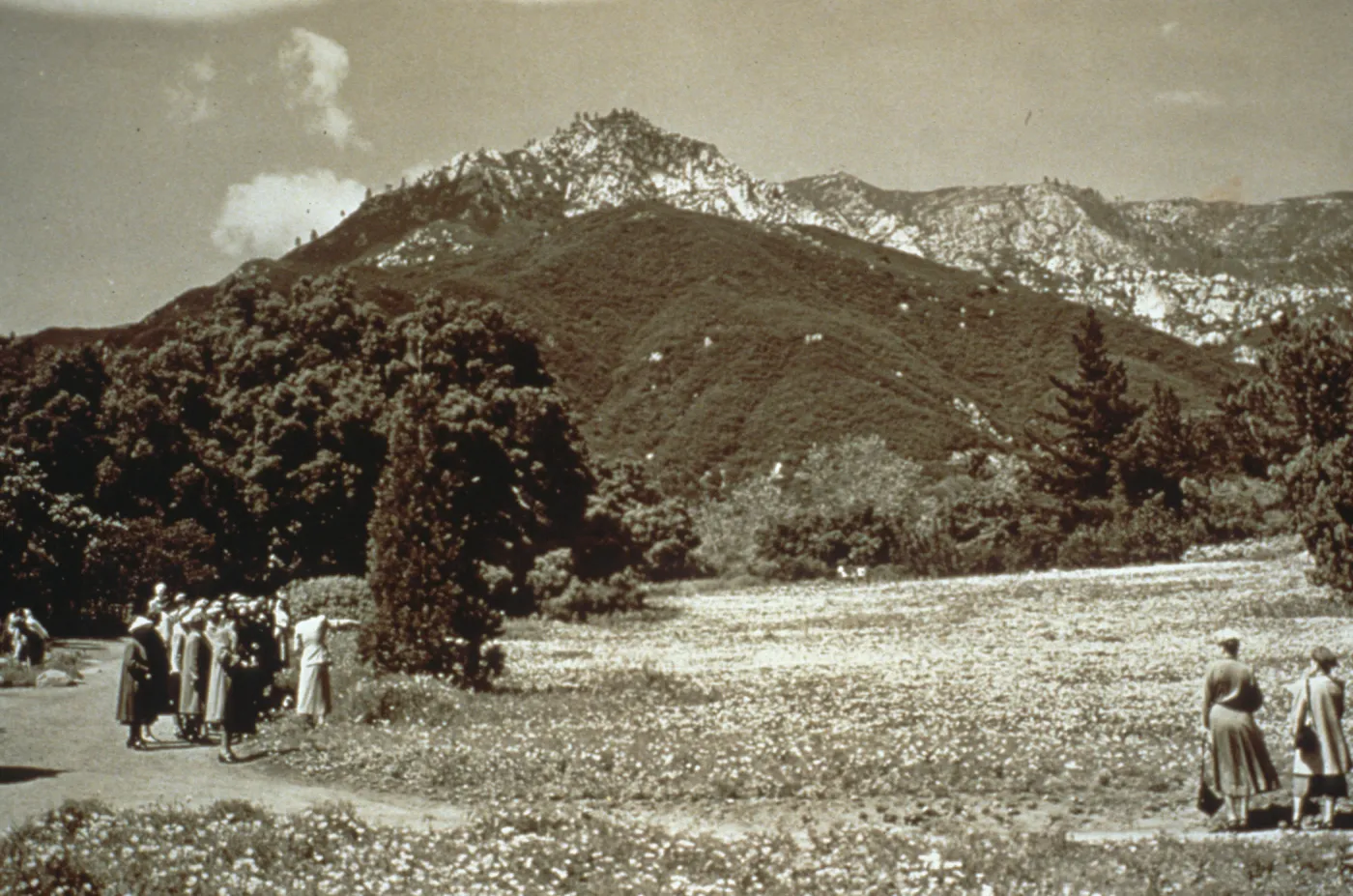 duplicate of SBBG_PR_00476, SBBG Meadow, mountain view, Little Gardens Club