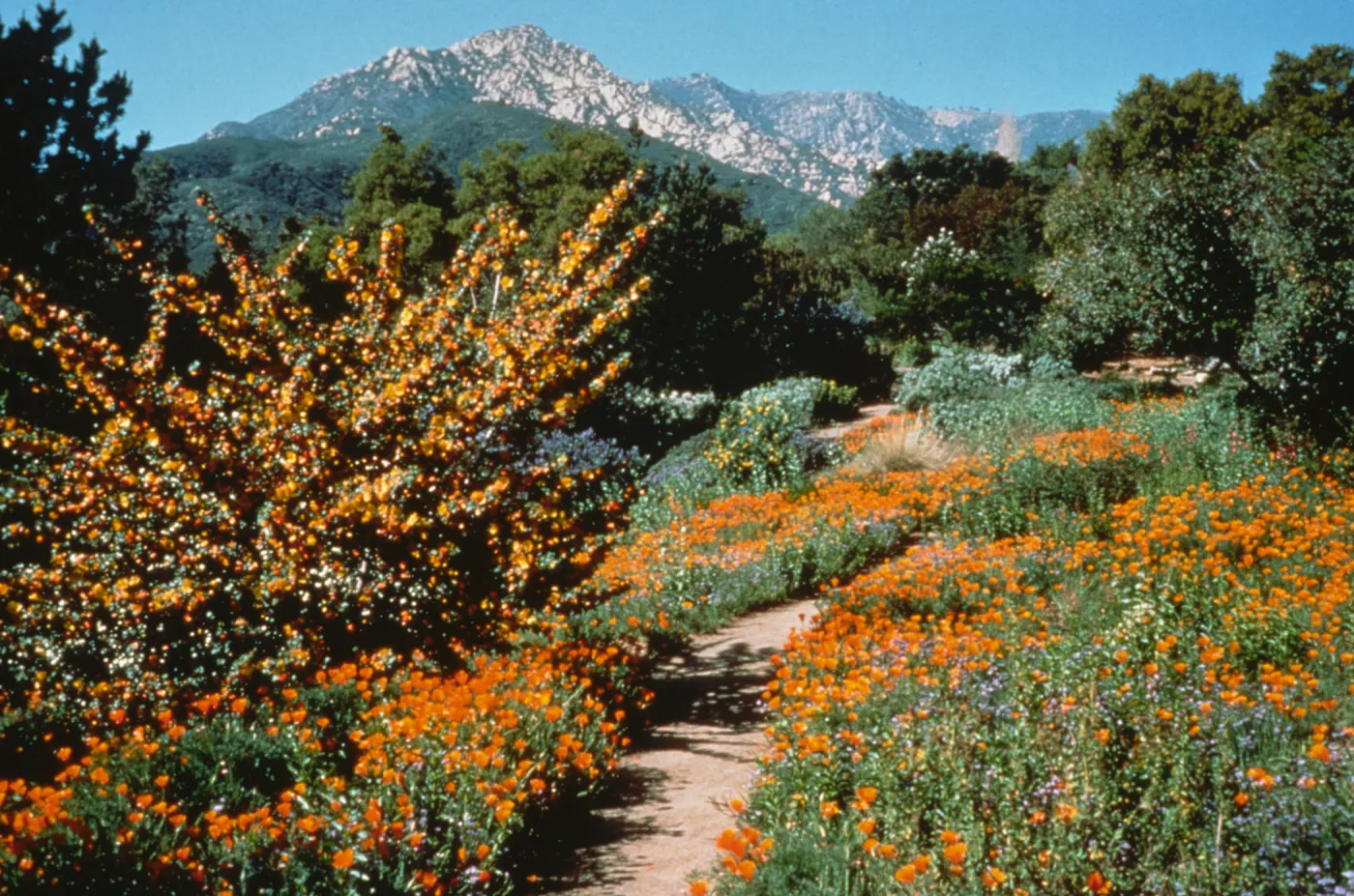 Porter Trail