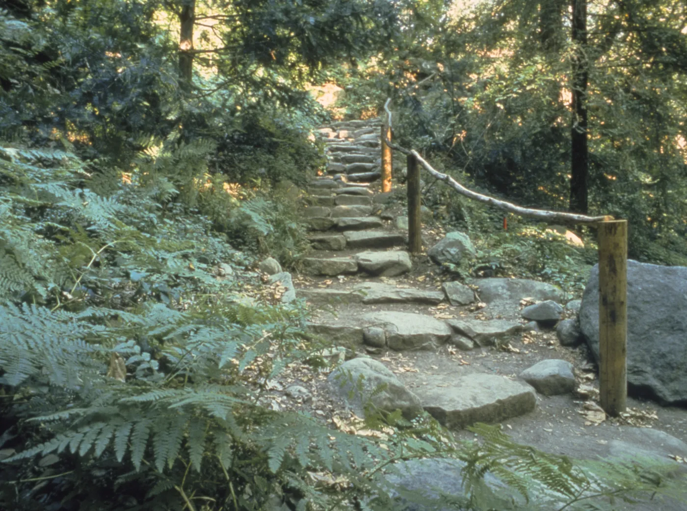 Indian Steps