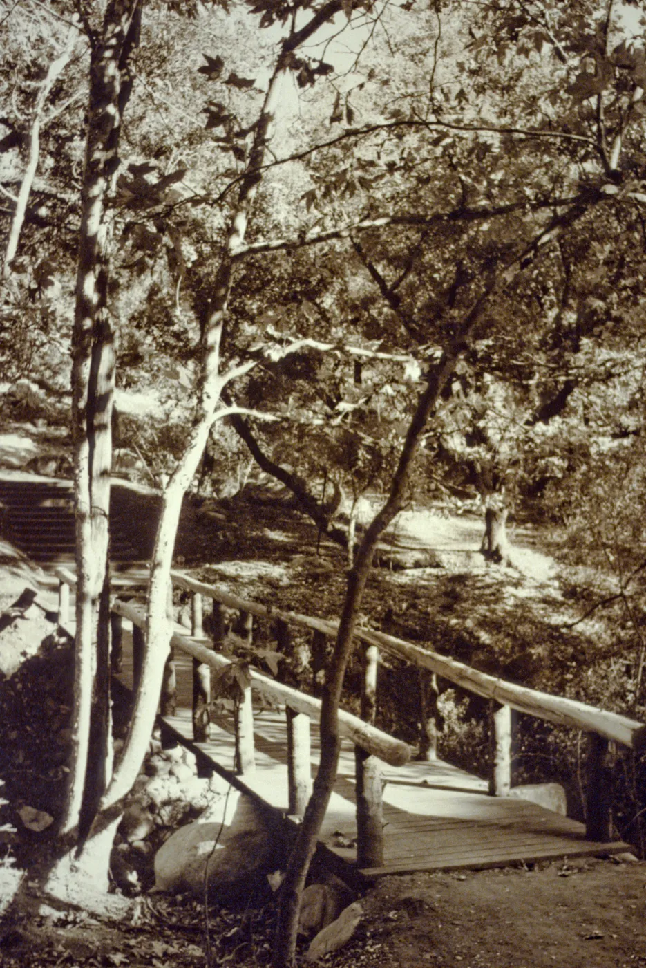 duplicate of SBBG_PR_00210, SBBG Campbell Bridge, © Josef Muench