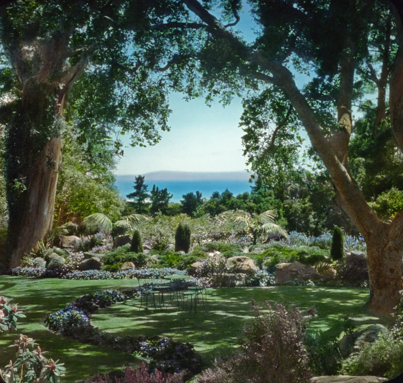 Santa Barbara Gardens of the Past - Far Afield (Coastal Live Oak)