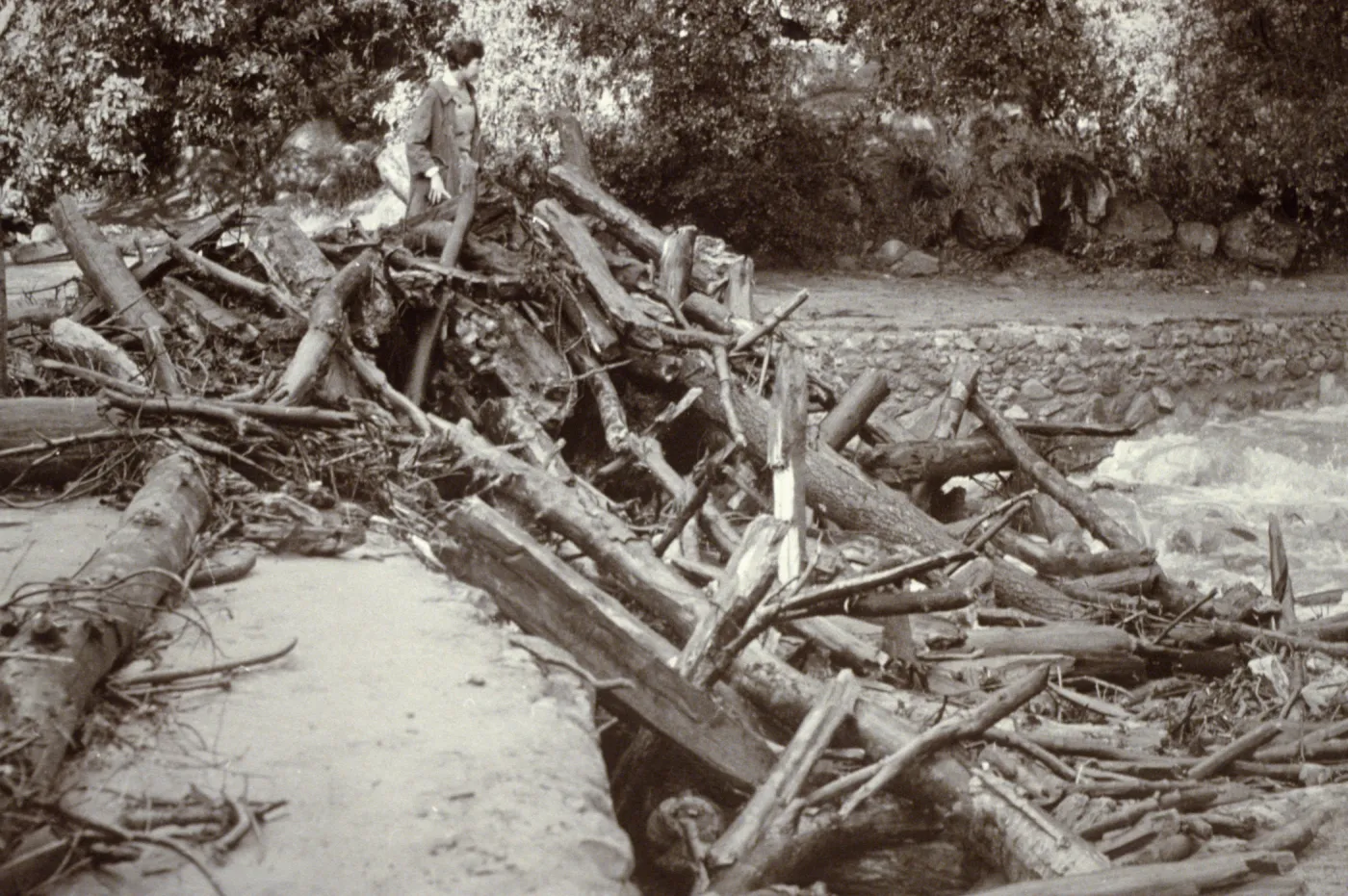 Mission Dam flood debris 