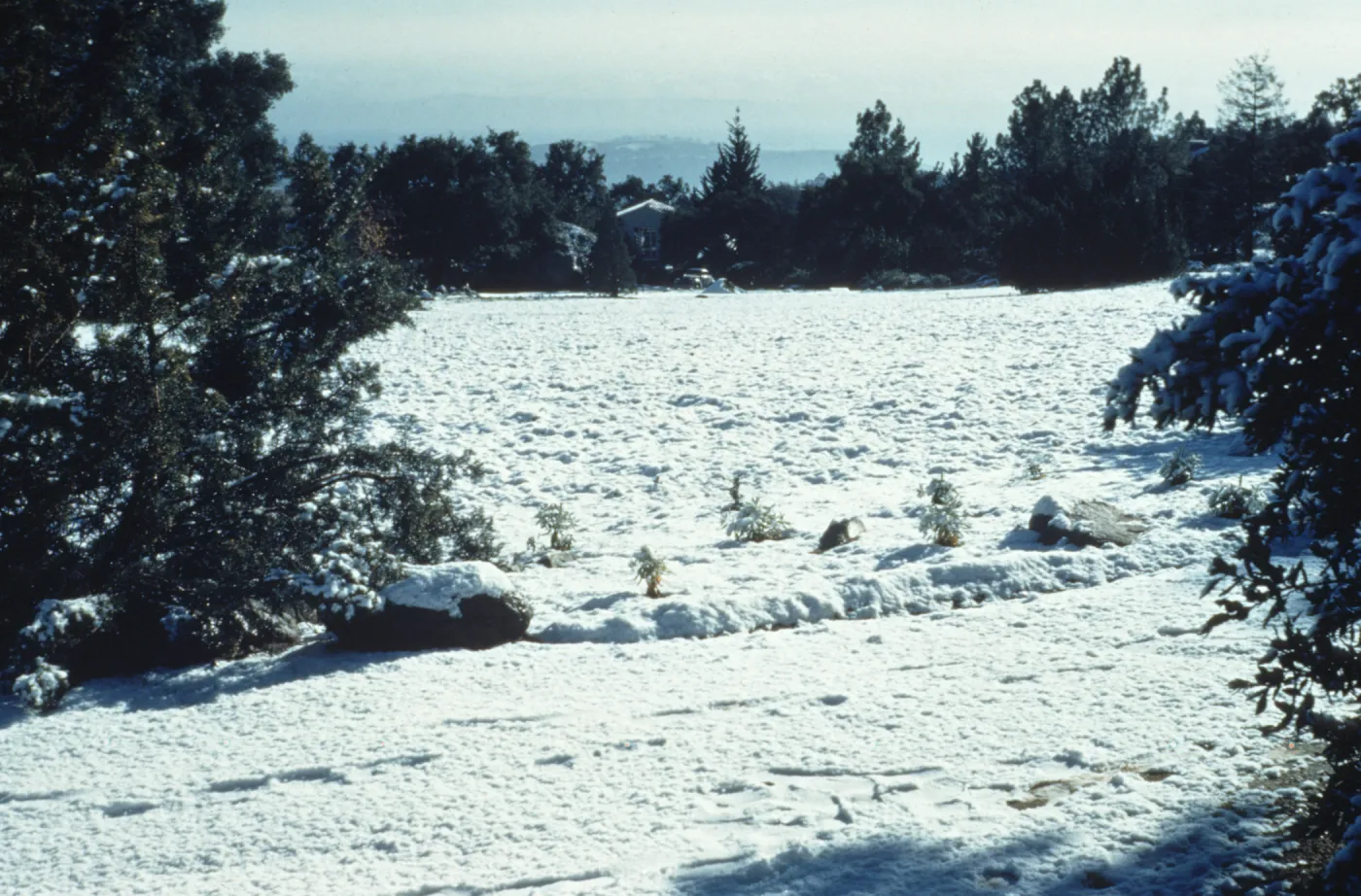 Meadow from north; snow, January 1949
