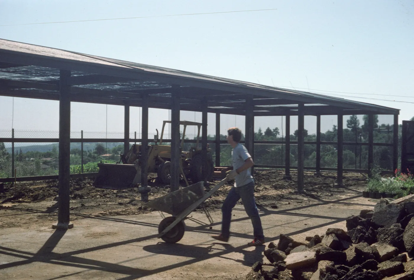 Construction: Can yard blacktop removal