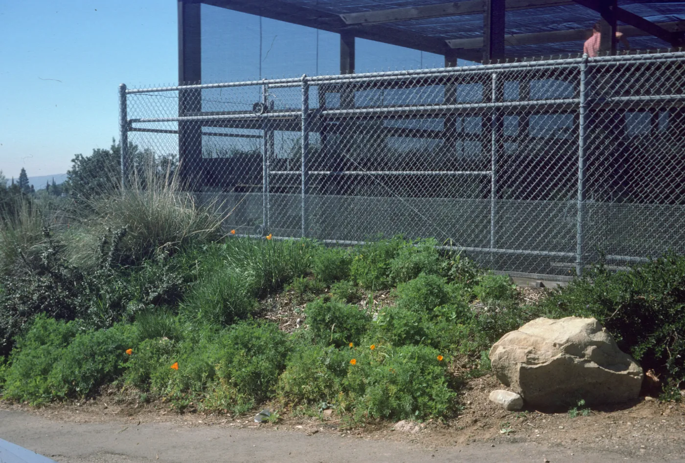 Construction: E. side of nursery