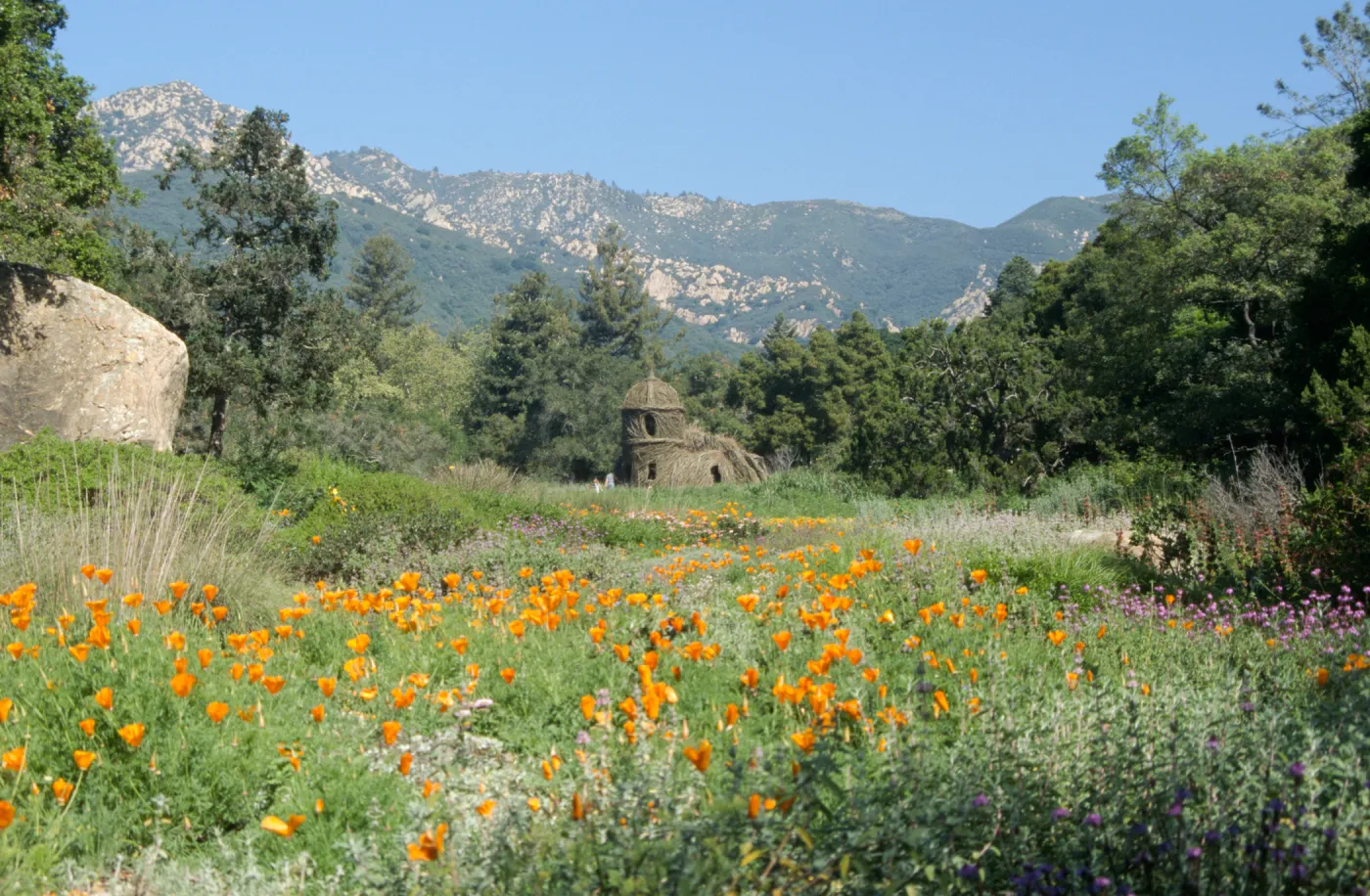 Toad Hall