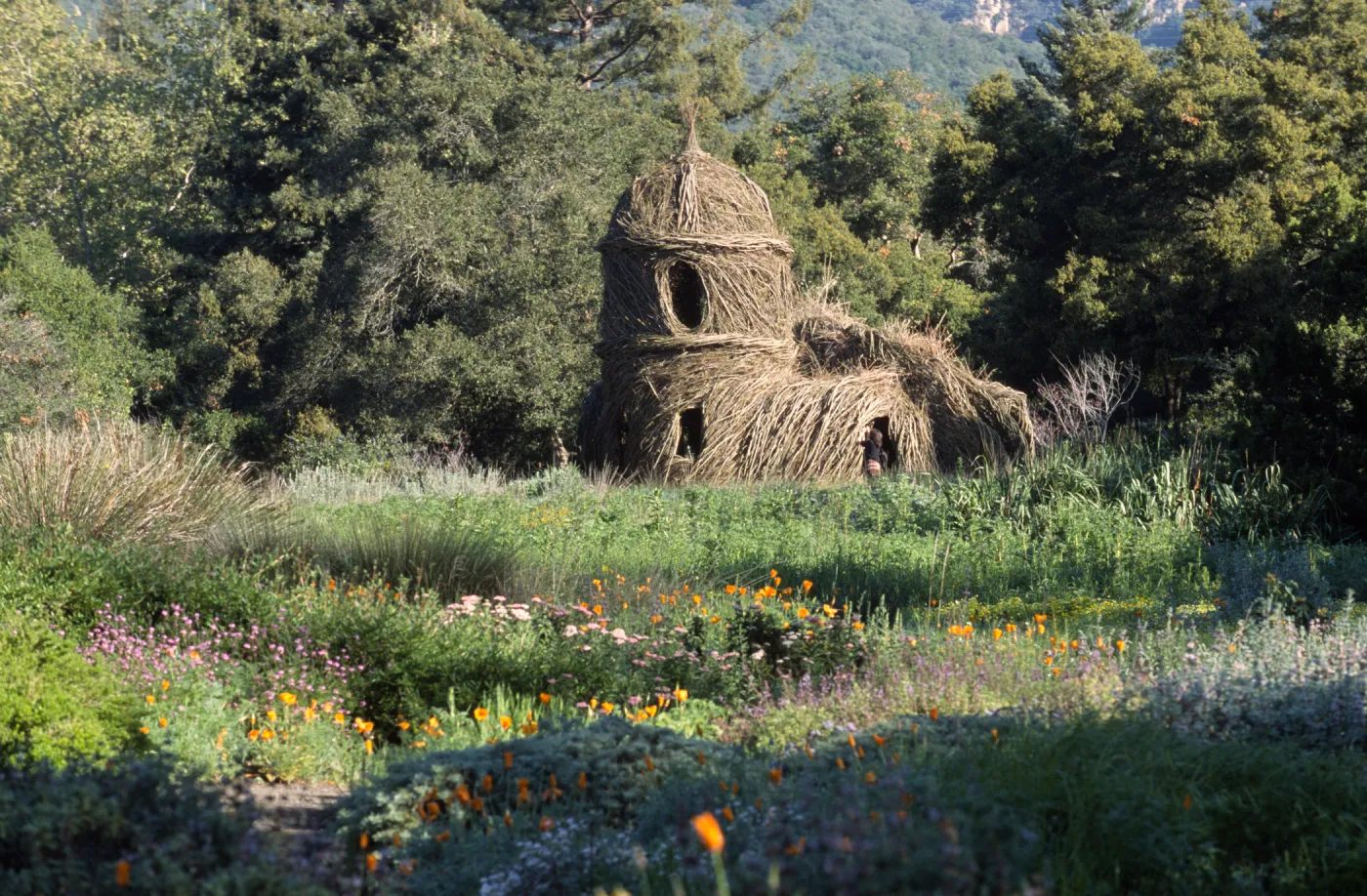 Toad Hall