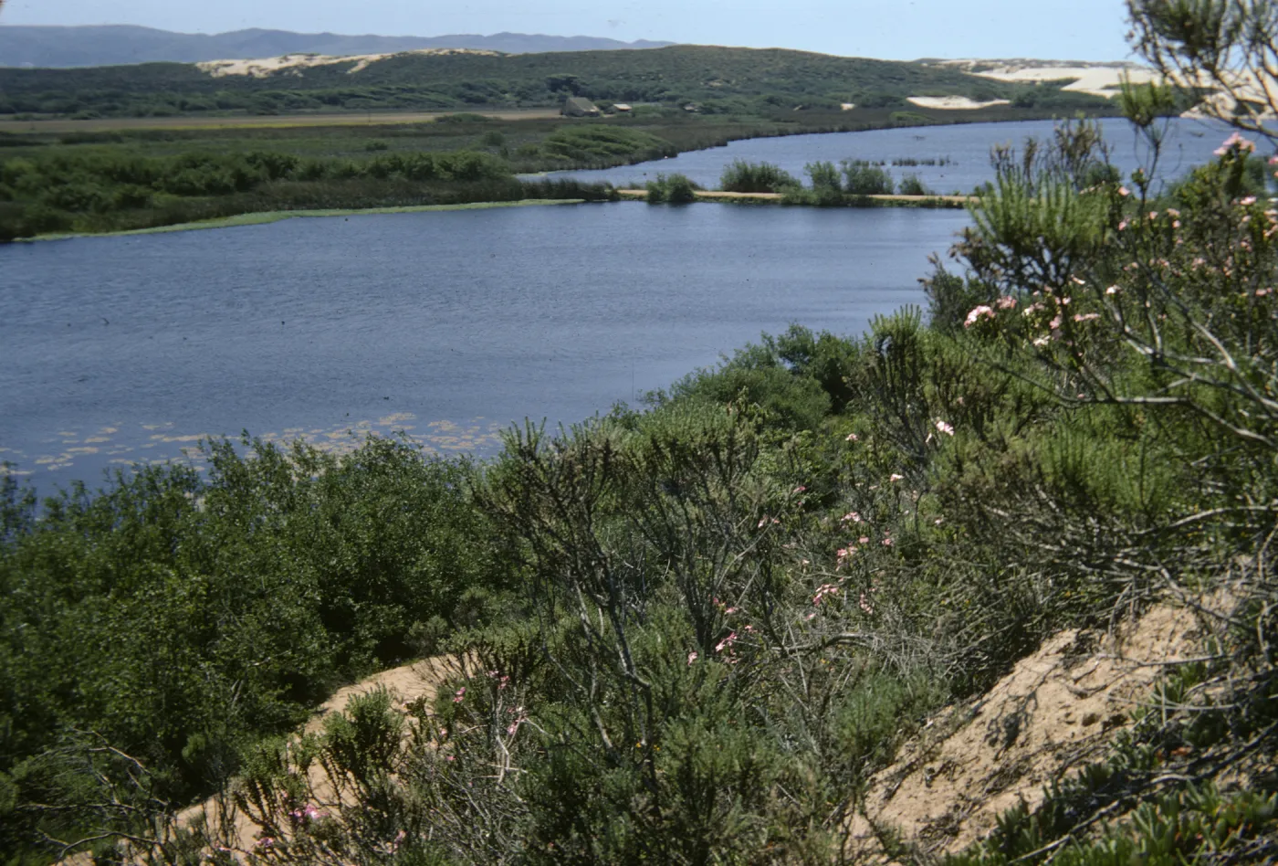 Oso Flaco Lake, vista