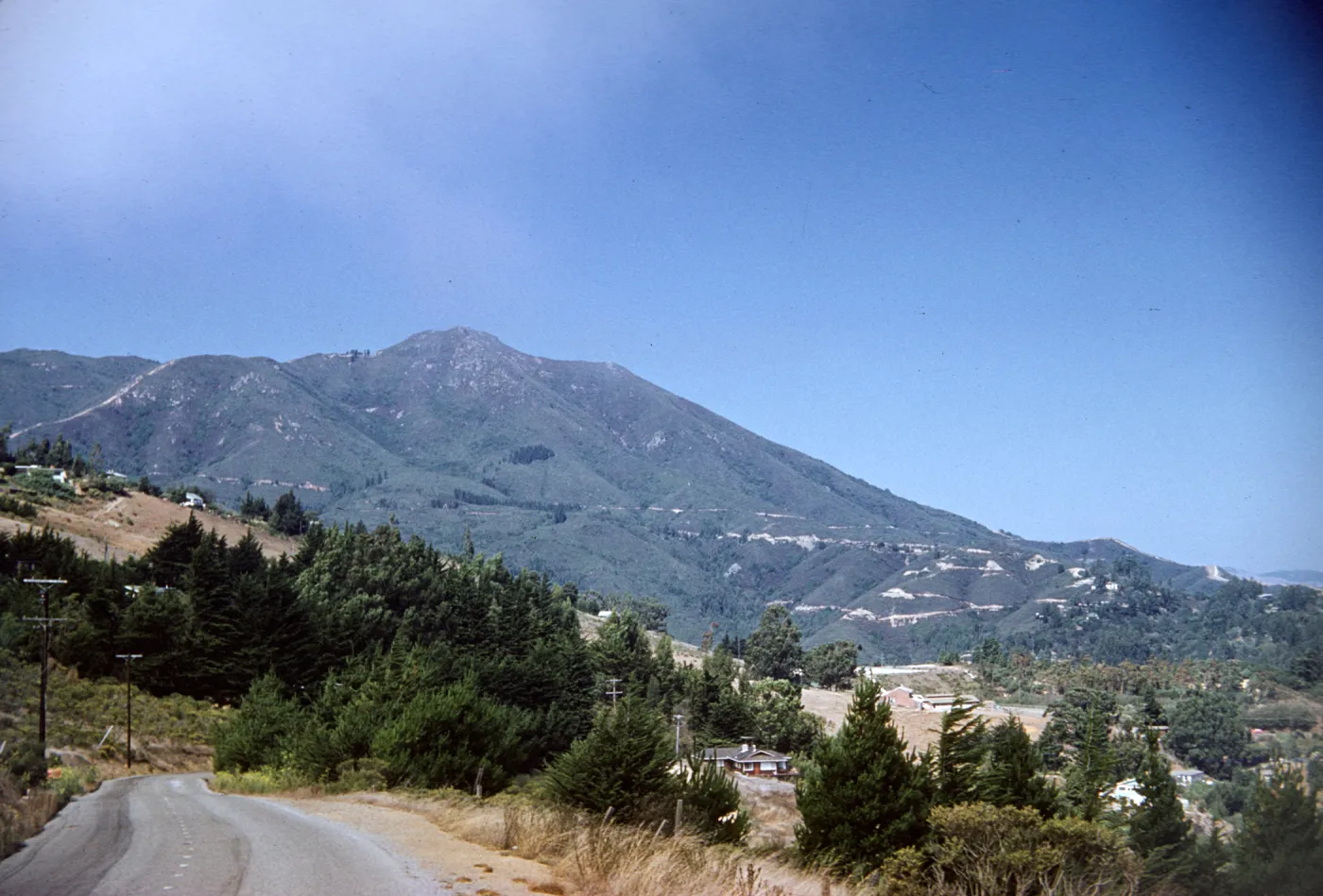 Mt Tamalpais
